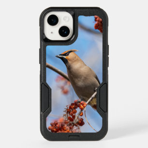Bohemian Waxwing, Northern Bird OtterBox iPhone 14 Case