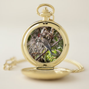 Bohemian Waxwing, Woodland Bird Photography Pocket Watch