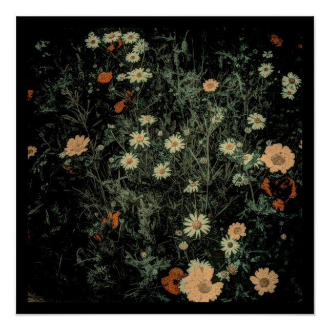 bohemian white daisy wildflower black floral poster (Front)
