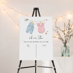 Boho Baby Clothes Gender Reveal Sign