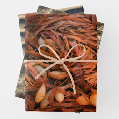 Boho Beach Party Wrapping Paper
