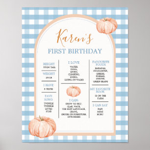 Boho Blue Gingham 1st Year Fact Sign Birthday
