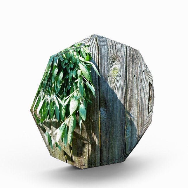 Boho botanical herb leaves rustic Barn-wood  Acrylic Award (Left)