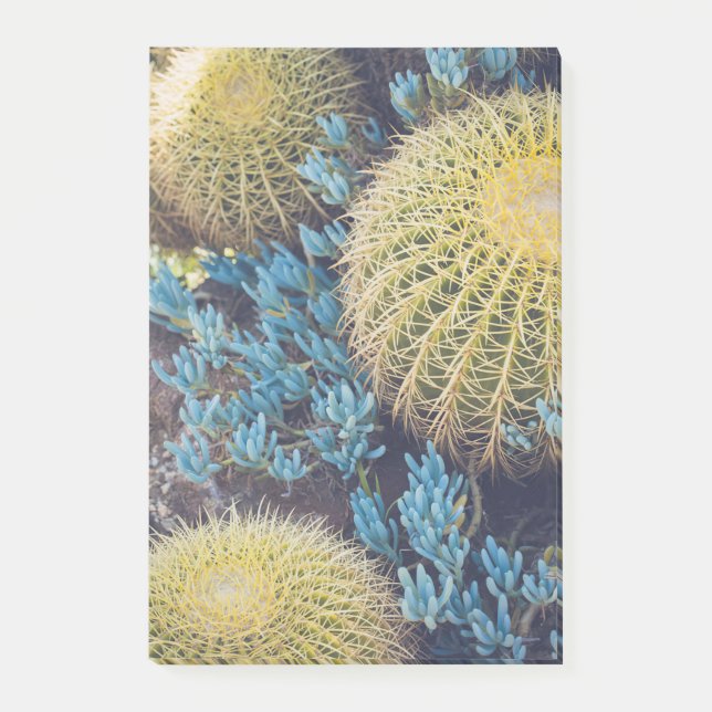 Boho Cactus Garden Post-it Notes (Front)
