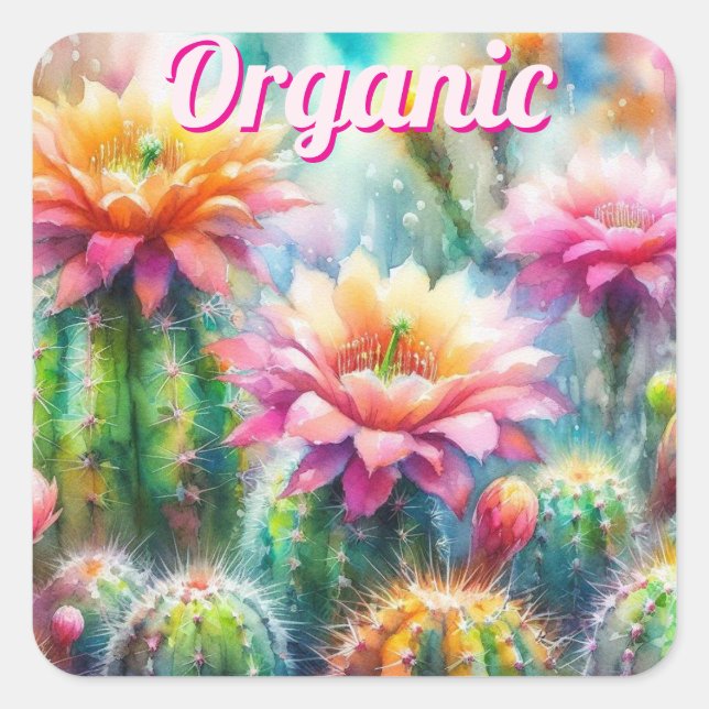 Boho Cactus Succulent Desert Botanical Organic Square Sticker (Front)