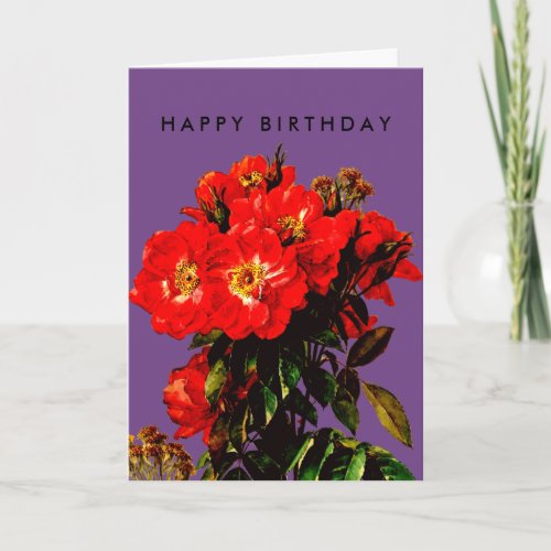 Boho Chic Happy Birthday Red Roses Bouquet Purple Card