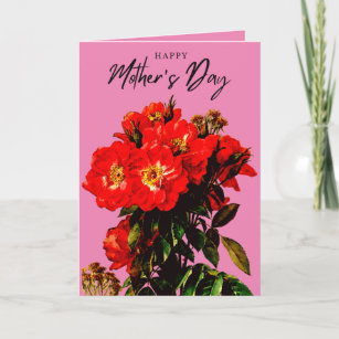Boho Chic Mothers Day Red Roses Bouquet Blush Pink Card