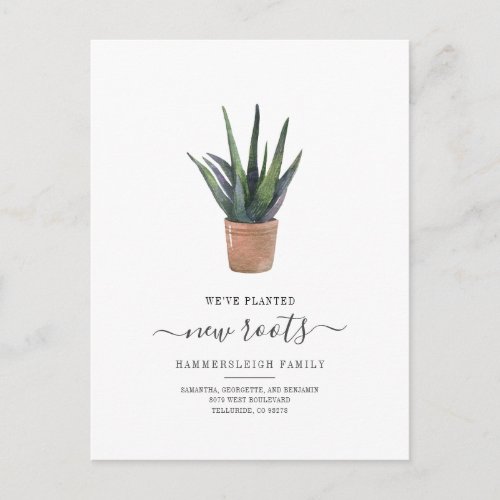 Boho Chic Weve Moved New Roots Succulent Plant Announcement Postcard