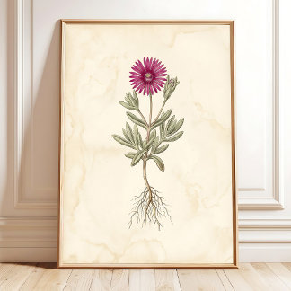 Boho Delosperma Botanical Canvas Art Poster