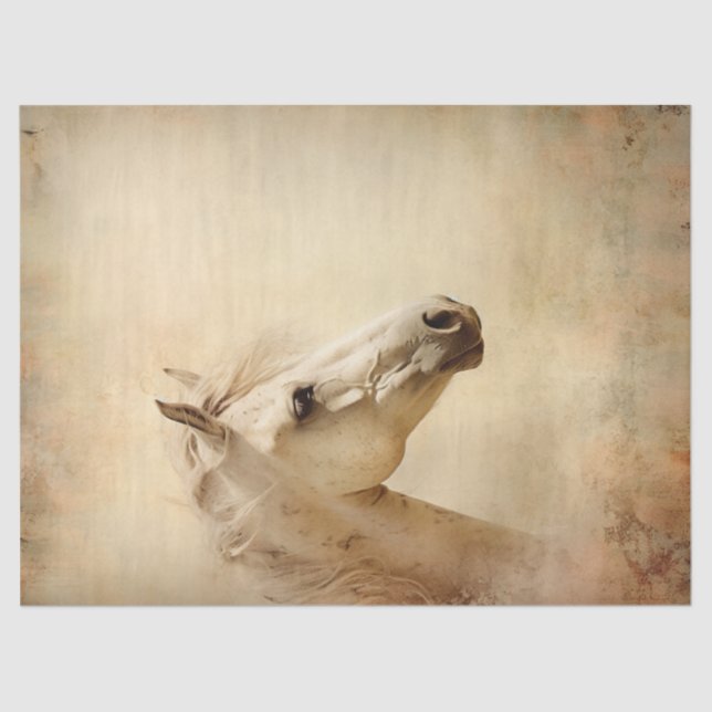 Boho Elegant White Horse Decoupage Tissue Paper (Front)
