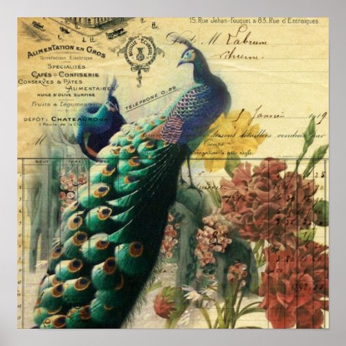 boho floral french country modern vintage peacock poster