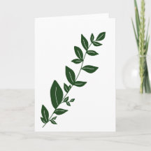 Boho Green plant