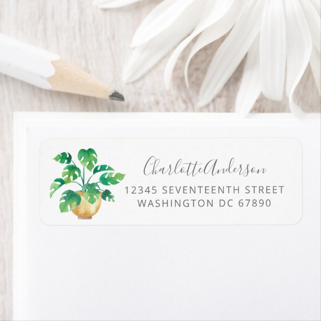 Boho Monstera Plant Minimalist Return Address Label (Insitu)