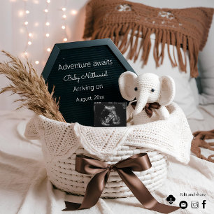 Boho pampas neutral pregnancy announcement