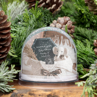 Boho pampas neutral pregnancy announcement snow globe