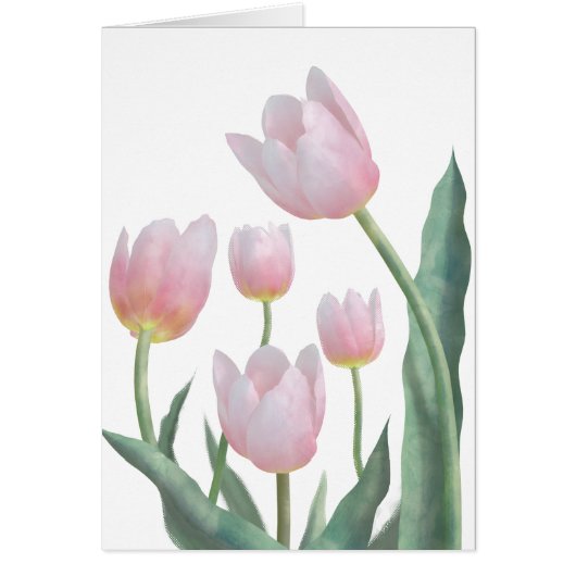 Boho Pastel Floral Cards (Front)