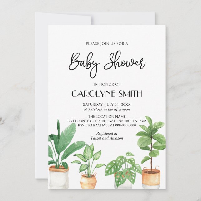 Boho Potted Plants Baby Shower Invitation (Front)