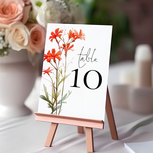 Boho Red Wildflowers Script Wedding Table Number