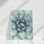 Boho Sage Green Succulent Closeup Poster<br><div class="desc">Boho Sage Green Succulent Closeup Poster Print,  following the latest trends in home decor,  is ideal to renew your walls.</div>