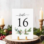 Boho Script Winter Greenery Evergreen Wedding Table Number