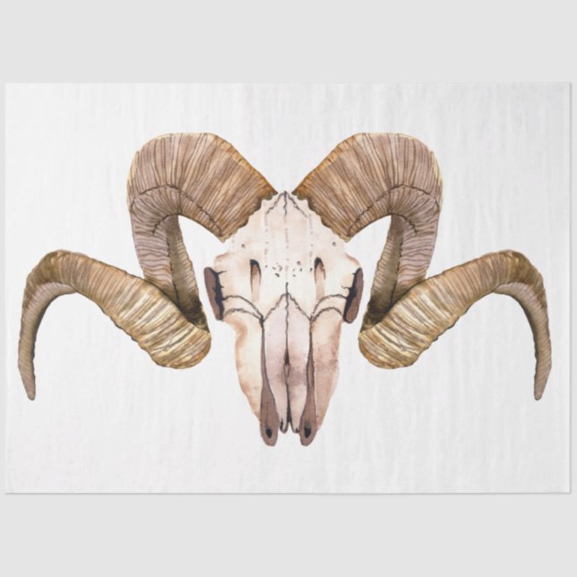 Boho Skull and Flowers Series Design 2 Tissue Paper (Front)