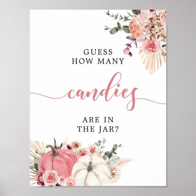 Boho Twin Pink White Pumpkin Baby Shower How Many Poster (Front)