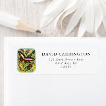 Boho Vintage Colorful Butterflies Collection