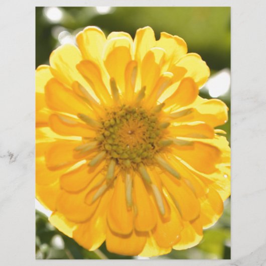Boho yellow flower (Front)
