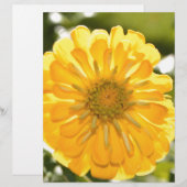 Boho yellow flower (Front/Back)