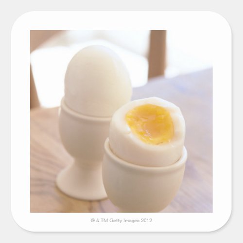 Boiled Egg Square Sticker