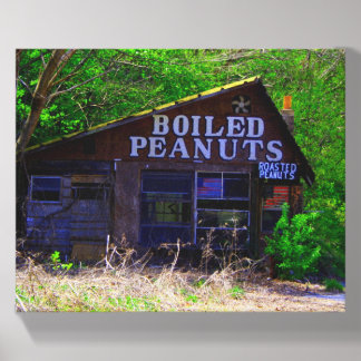 Boiled Peanuts Store Photo Tile