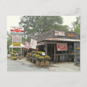 Boiled Peanuts Y'ALL COME Postcard