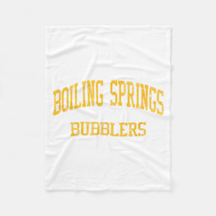 Boiling Springs High School Hs Boiling Springs Pa  Fleece Blanket