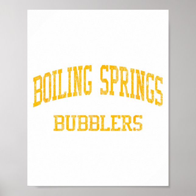 Boiling Springs High School Hs Boiling Springs Pa  Poster (Front)
