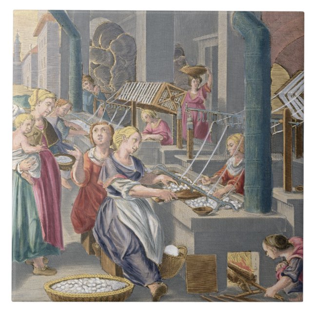 Boiling the Cocoons to Destroy the Chrysalids and Ceramic Tile (Front)