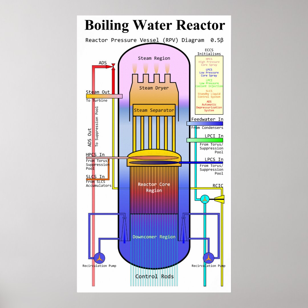 Boiling Water Reactor Pressure Vessel Diagram Poster | Zazzle
