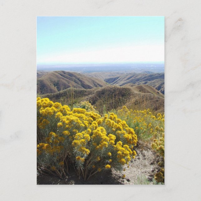 Boise Foothills Postcard (Front)