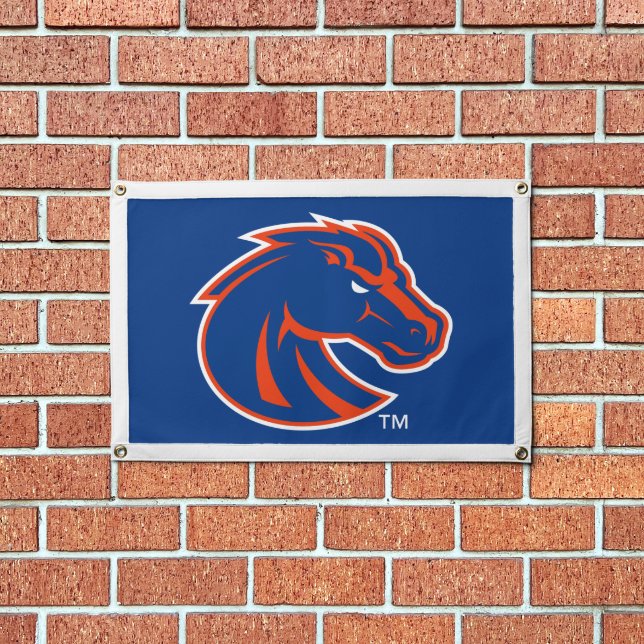 Boise State Broncos Pennant (Insitu 1)