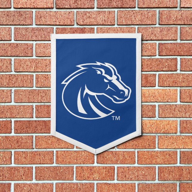 Boise State Broncos Pennant (Insitu 1)