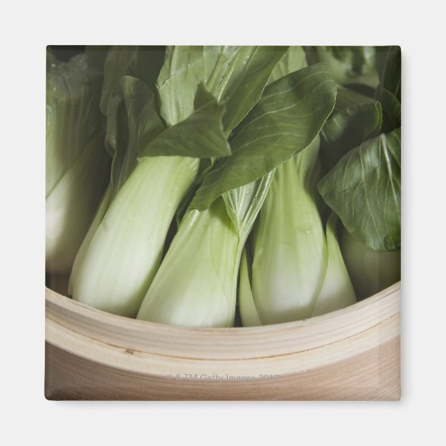 Bok choy magnet (Front)