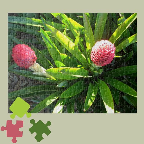 Bok Gardens Florida Pink Tropical Bromeliad Flower Jigsaw Puzzle