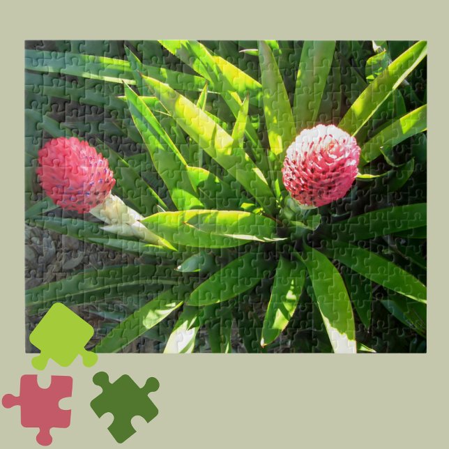 Bok Gardens Florida Pink Tropical Bromeliad Flower Jigsaw Puzzle (Creator Uploaded)