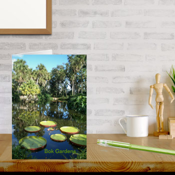 Bok Tower Gardens Florida ~ Victoria Water Lilies by Sozo4all at Zazzle