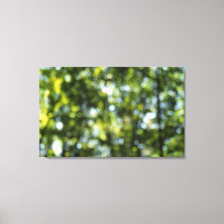 Bokeh in Spring Canvas Print