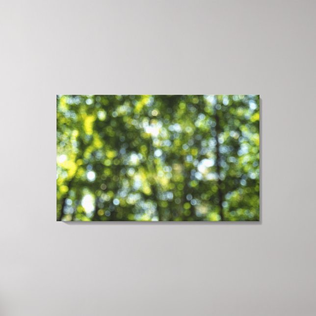 Bokeh in Spring Canvas Print (Front)