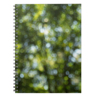 Bokeh in Spring Notebook