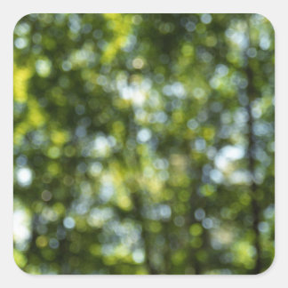Bokeh in Spring Square Sticker