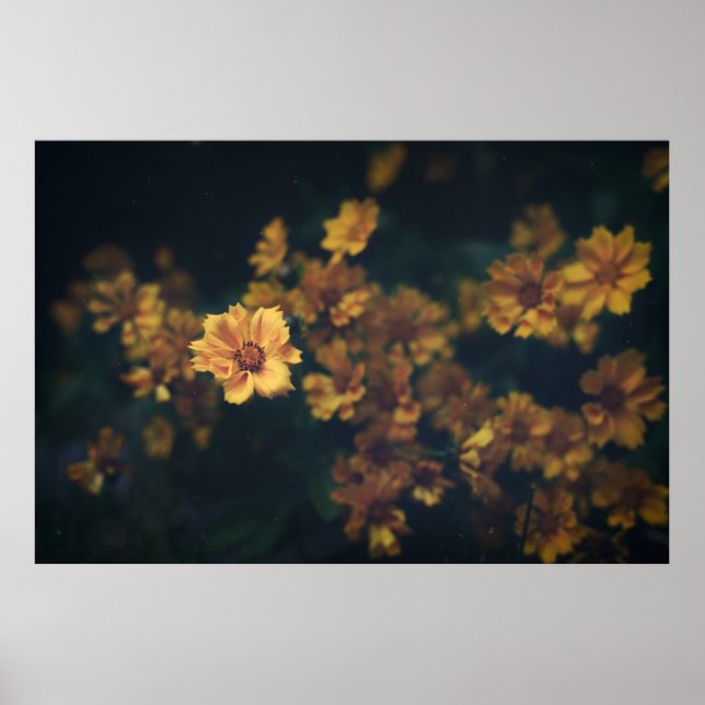 BOKEH PHOTOGRAPHY OF YELLOW FLOWERS POSTER (Front)