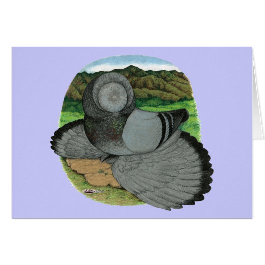 Bokhara Trumpeter Pigeon Blue (Front Horizontal)