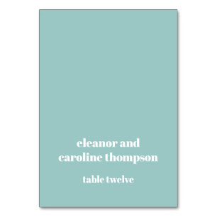 Bold Aqua Blue Retro Custom Wedding Place Card